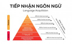 SỰ KHÁC BIỆT GIỮA VIỆC HỌC NGÔN NGỮ THỨ HAI VÀ VIỆC TIẾP THU NGÔN NGỮ MẸ ĐẺ 214588785283749772